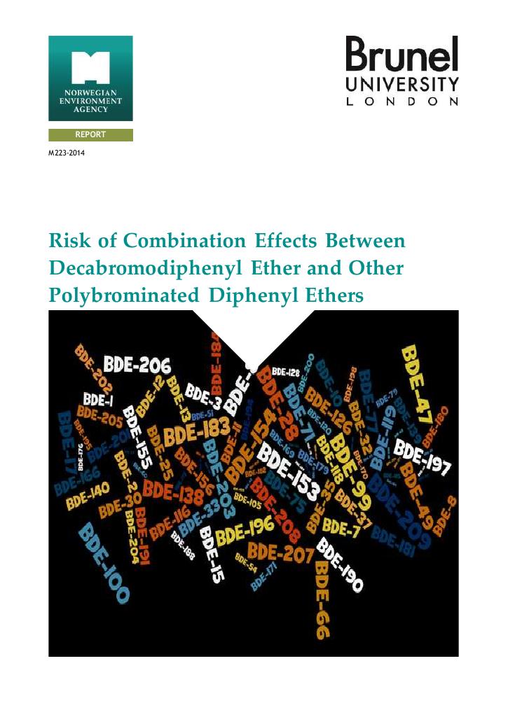 Forsiden av dokumentet Risk of Combination Effects Between Decabromodiphenyl Ether and Other Polybrominated Diphenyl Ethers