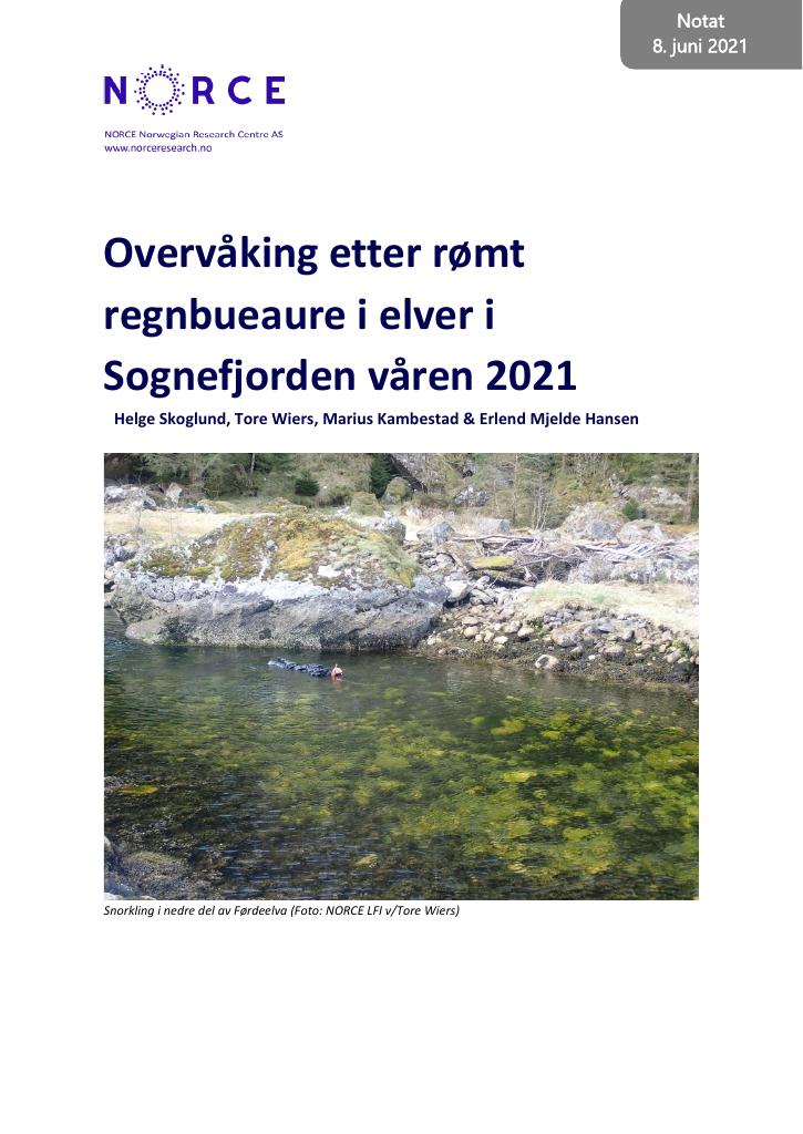 Forsiden av dokumentet Overvåking etter rømt
regnbueaure i elver i
Sognefjorden våren 2021
