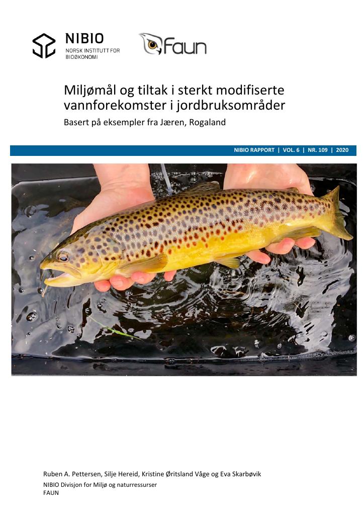 Forsiden av dokumentet Miljømål og tiltak i sterkt modifiserte vannforekomster i jordbruksområder : basert på eksempler fra Jæren, Rogaland