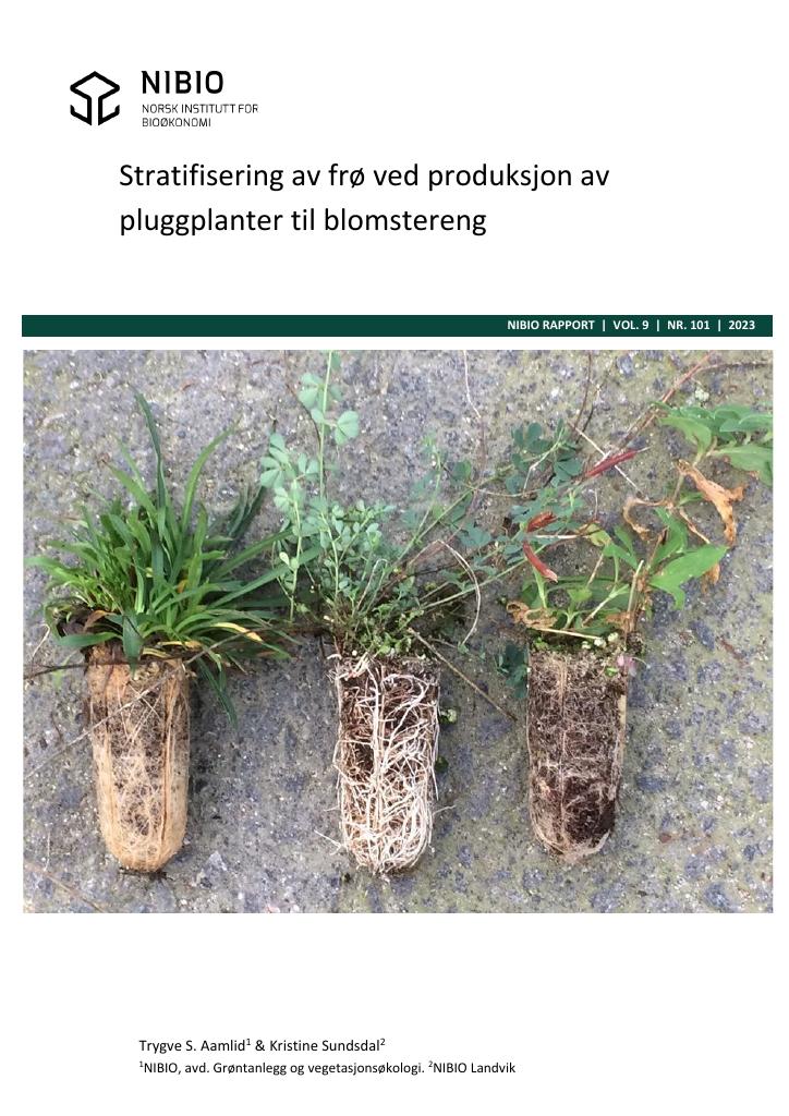 Forsiden av dokumentet Stratifisering av frø ved produksjon av pluggplanter til blomstereng