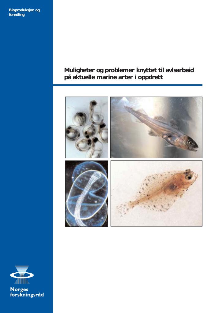 Forsiden av dokumentet Muligheter og problemer knyttet til avlsarbeid på aktuelle marine arter i oppdrett