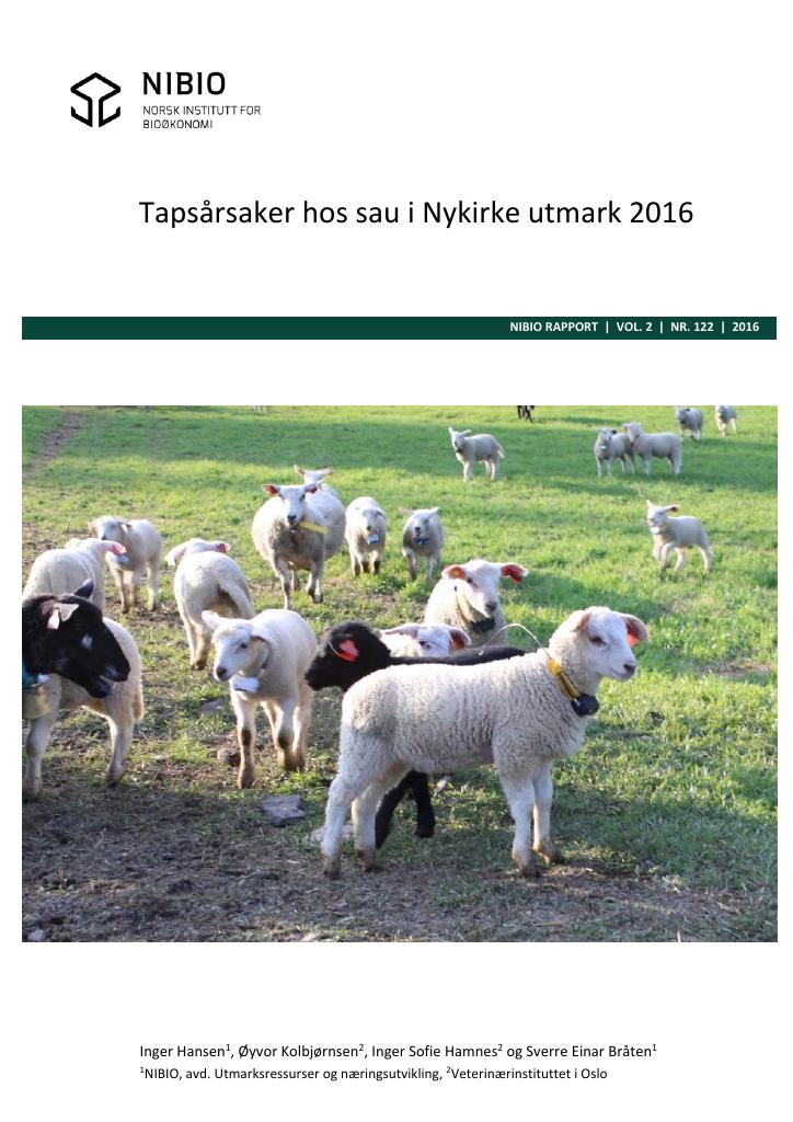 Forsiden av dokumentet Tapsårsaker hos sau i Nykirke utmark 2016