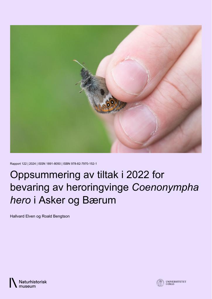 Forsiden av dokumentet Oppsummering av tiltak i 2022 for bevaring av heroringvinge Coenonympha hero i Asker og Bærum