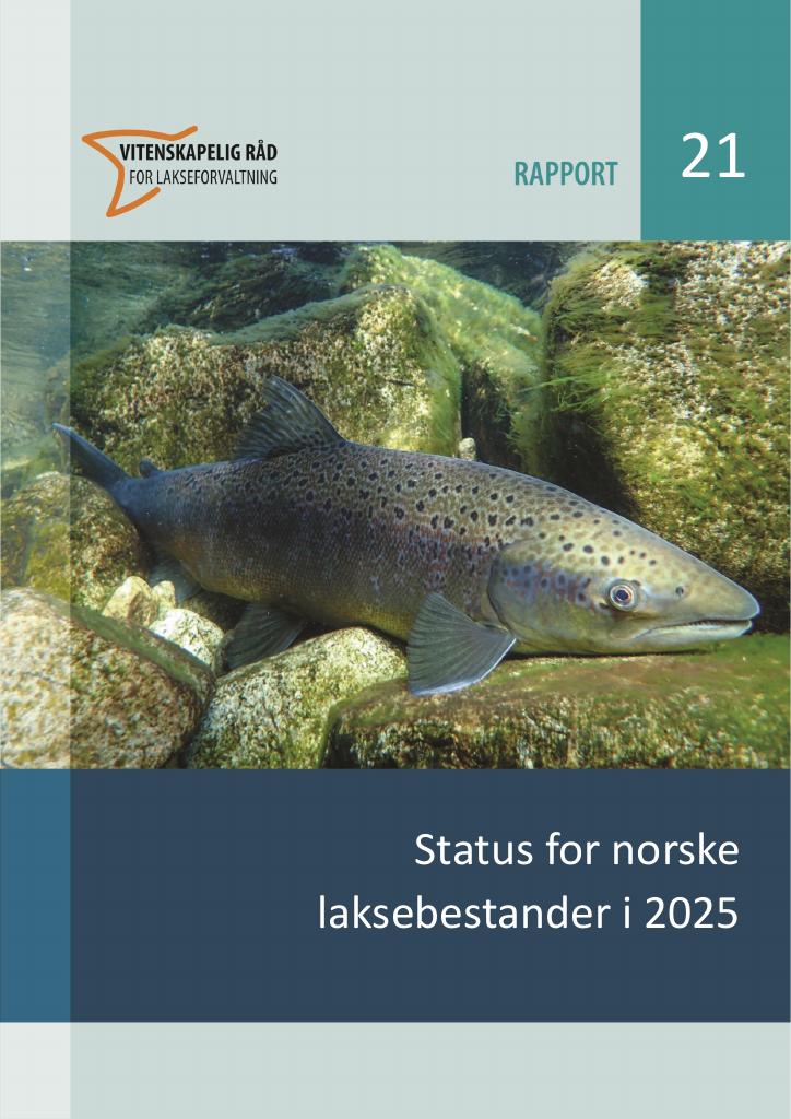 Forsiden av dokumentet Status for norske laksebestander i 2025