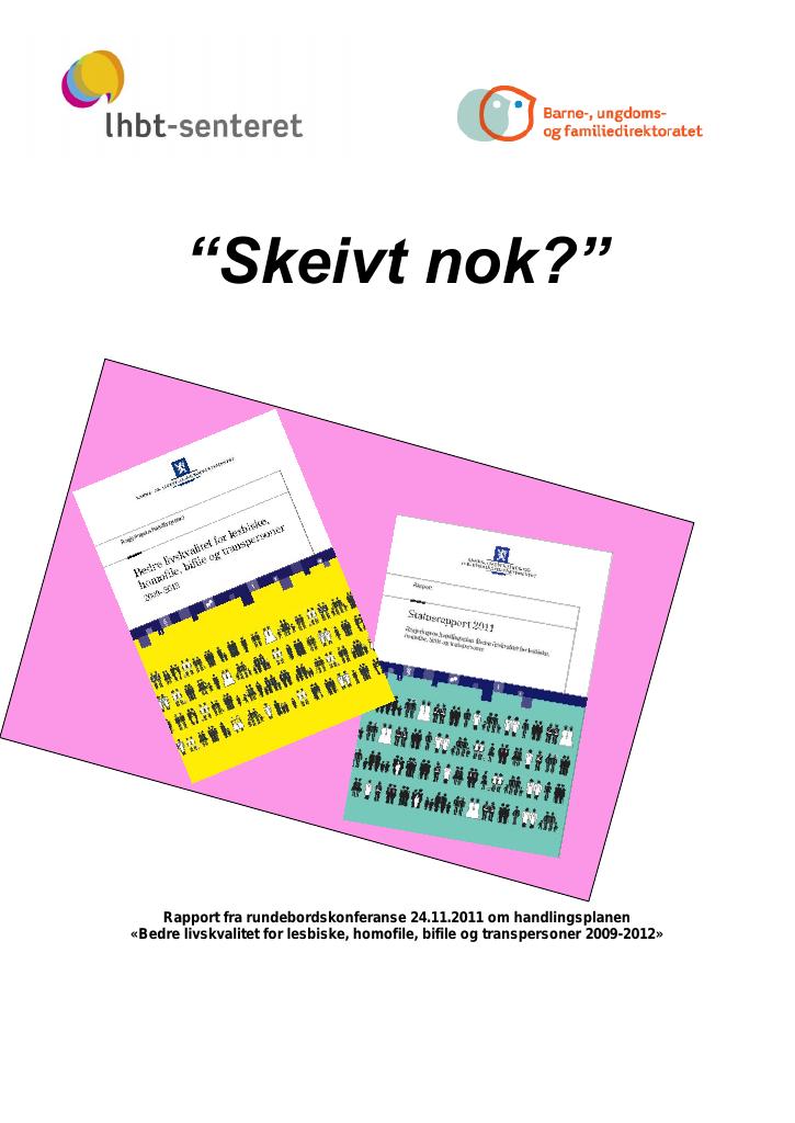 Forsiden av dokumentet "Skeivt nok?"