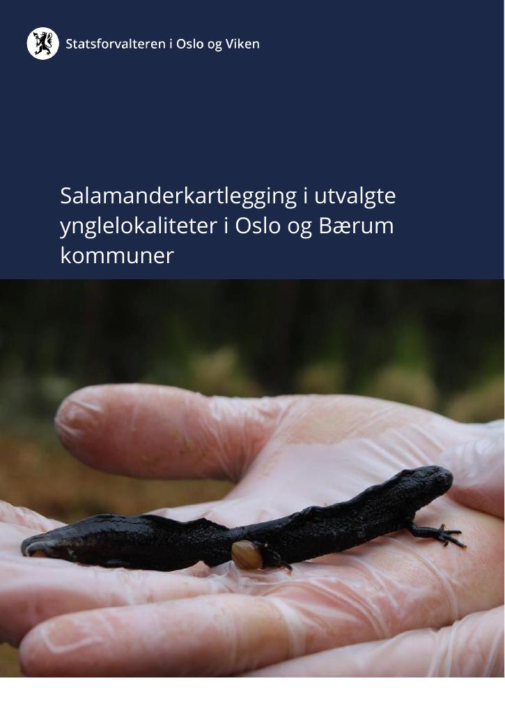 Forsiden av dokumentet Salamanderkartlegging i utvalgte ynglelokaliteter i Oslo og Bærum kommuner