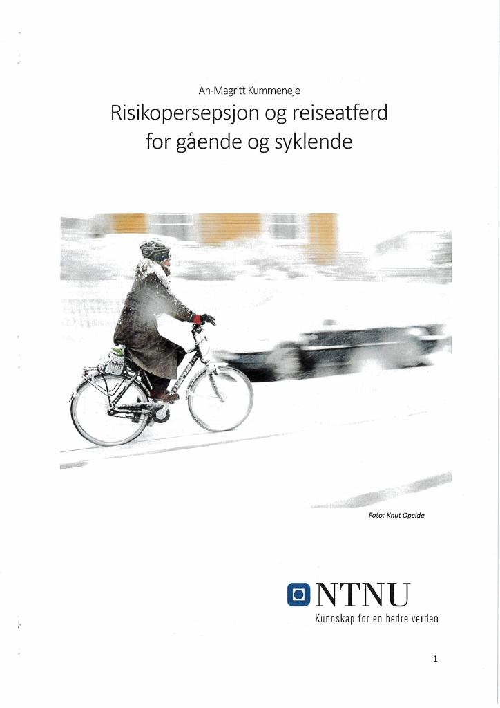 Forsiden av dokumentet Risikopersepsjon og reiseatferd for gående og syklende