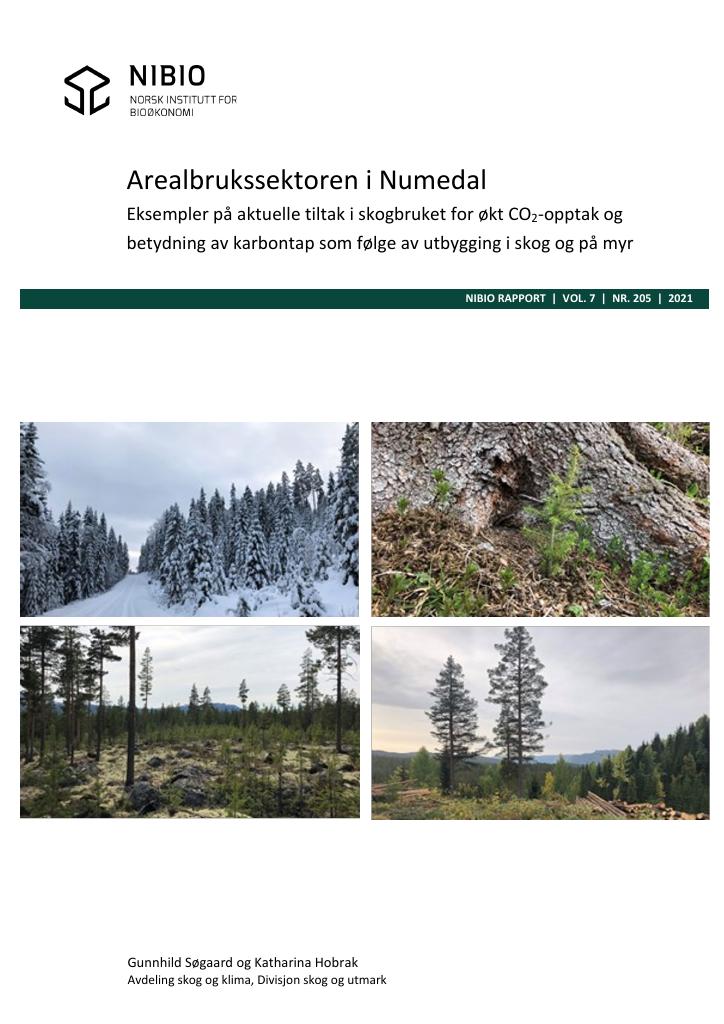 Forsiden av dokumentet Arealbrukssektoren i Numedal. Eksempler på aktuelle tiltak i skogbruket for økt CO2-opptak og betydning av karbontap som følge av utbygging i skog og på myr