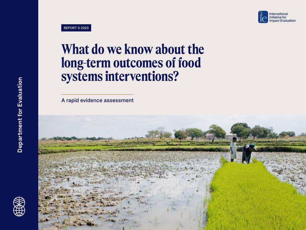 Forsiden av dokumentet What do we know about the long-term outcomes of food systems interventions?