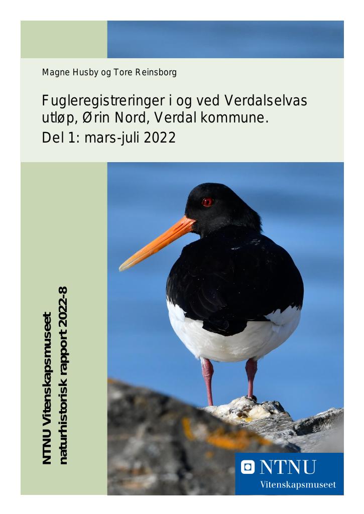 Forsiden av dokumentet Fugleregistreringer i og ved Verdalselvas utløp, Ørin Nord, Verdal kommune. Del 1: mars-juli 2022