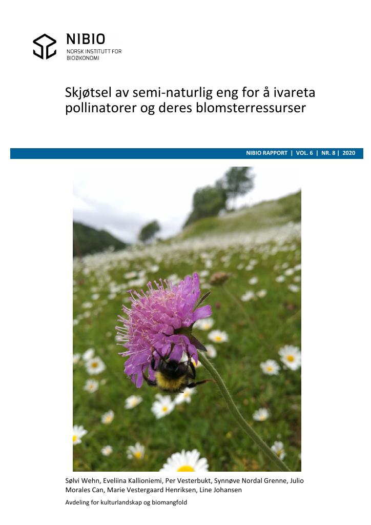 Forsiden av dokumentet Skjøtsel av semi-naturlig eng for å ivareta pollinatorer og deres blomsterressurser