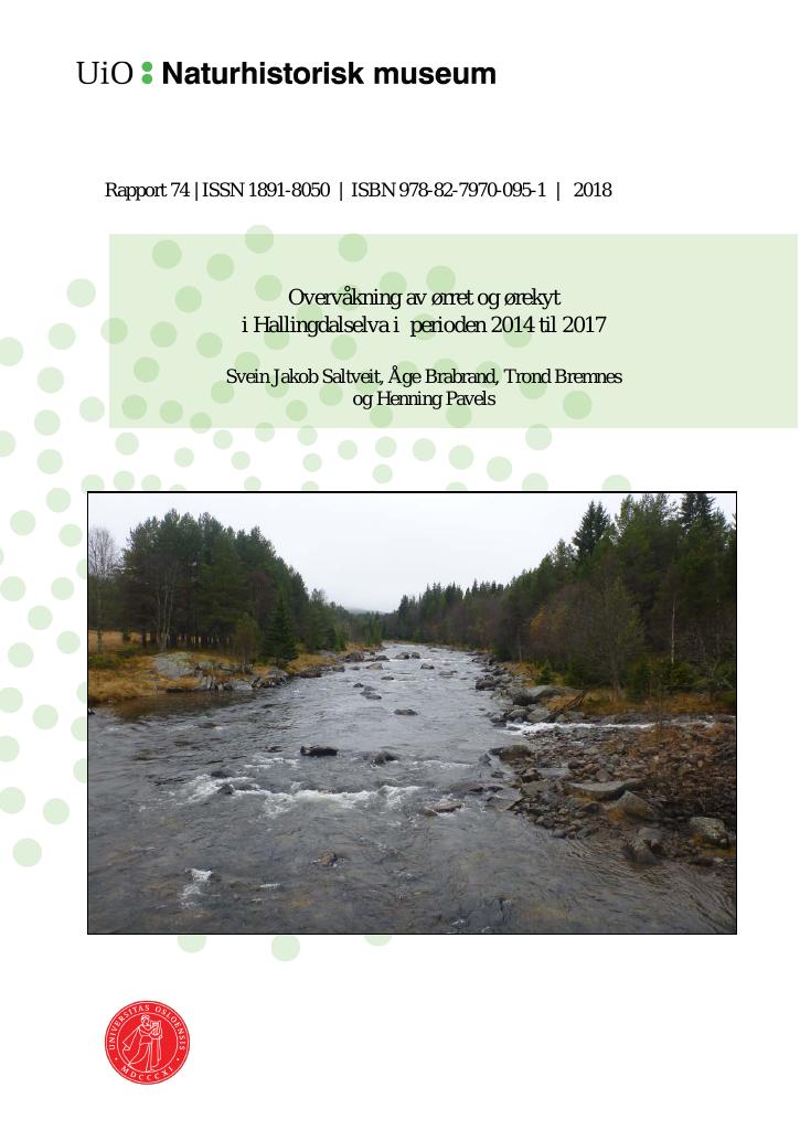 Forsiden av dokumentet Overvåkning av ørret og ørekyt i Hallingdalselva i perioden 2014 til 2017