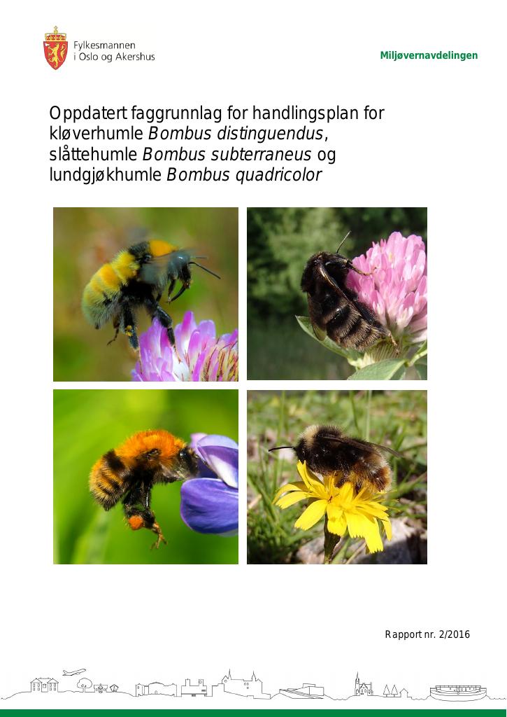 Forsiden av dokumentet Oppdatert faggrunnlag for handlingsplan for kløverhumle Bombus distinguendus, slåttehumle Bombus subterraneus og lundgjøkhumle Bombus quadricolor