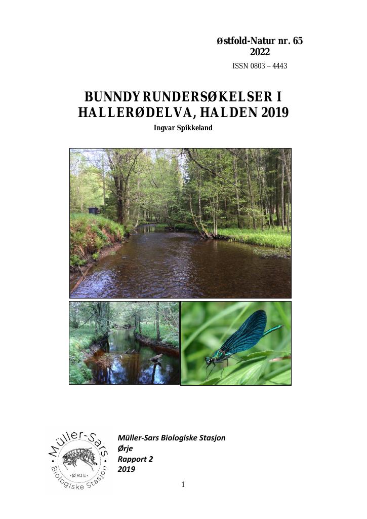 Forsiden av dokumentet Bunndyrundersøkelser i Hallerødelva, halden 2019