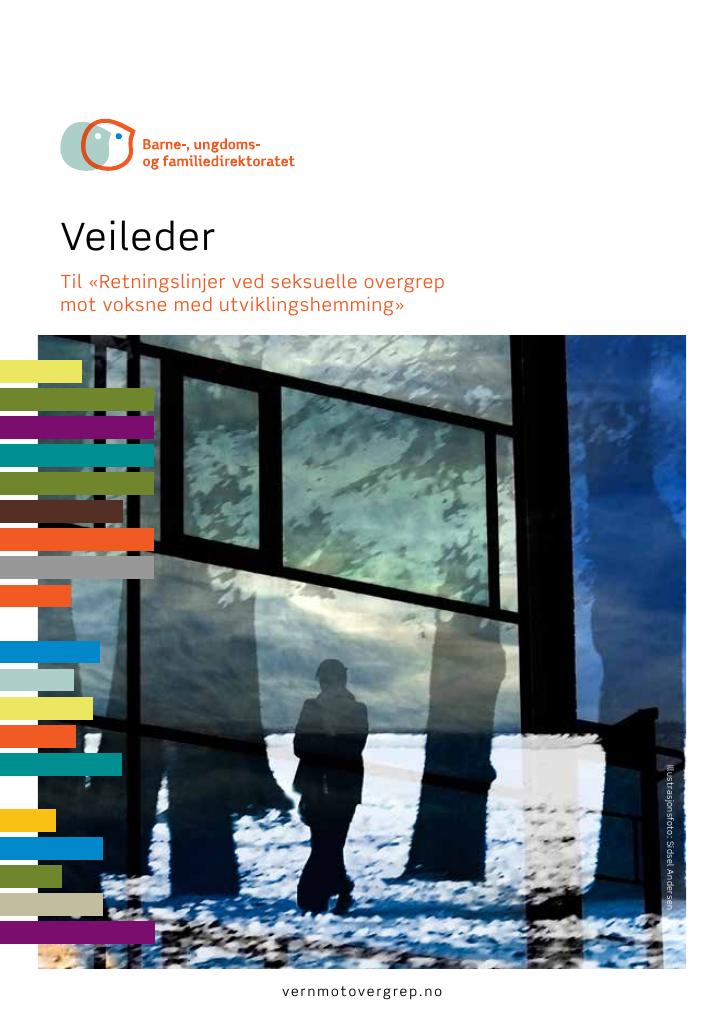 Forsiden av dokumentet Veileder.