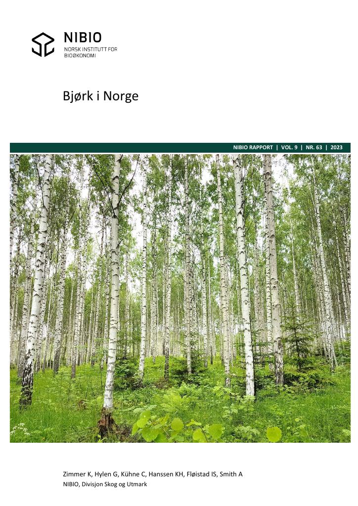 Forsiden av dokumentet Bjørk i Norge