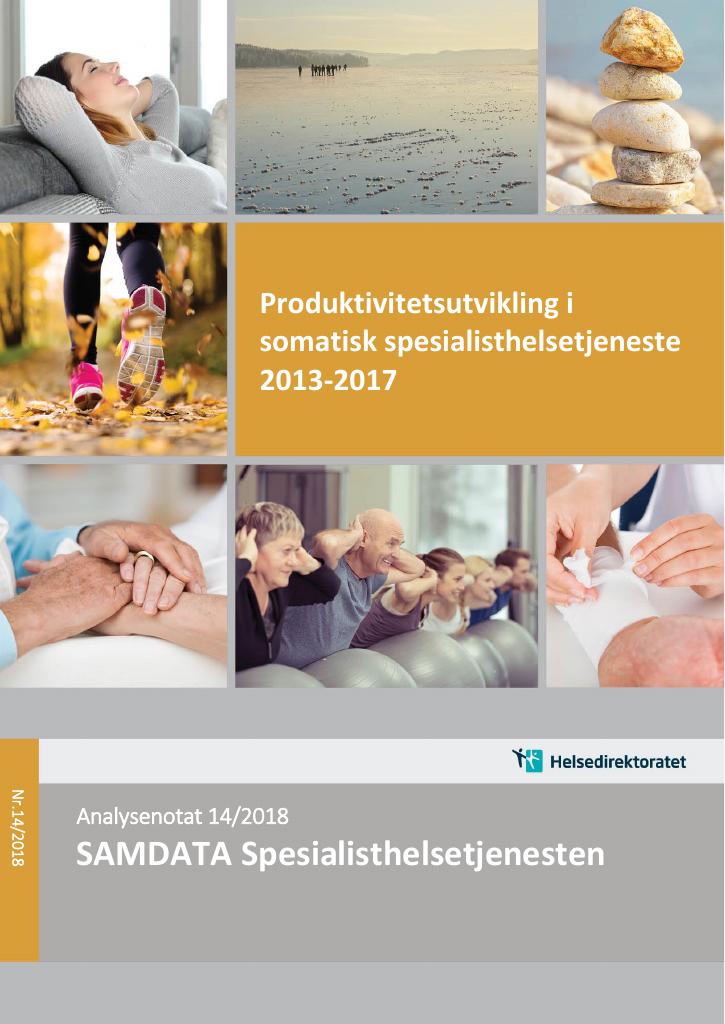 Forsiden av dokumentet Produktivitetsutvikling i somatisk spesialisthelsetjeneste 2013-2017