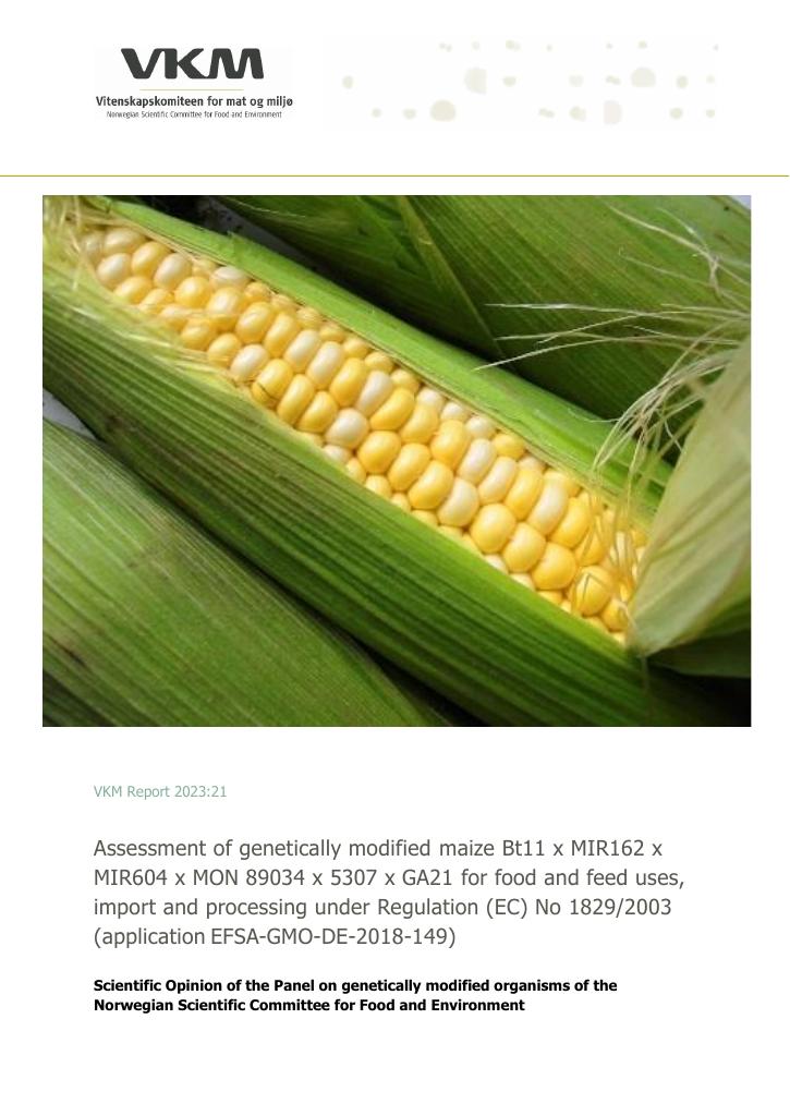 Forsiden av dokumentet Assessment of genetically modified maize Bt11 x MIR162 x MIR604 x MON 89034 x 5307 x GA21 for food and feed uses, import and processing under Regulation (EC) No 1829/2003 (application EFSA-GMO-DE-2018-149)