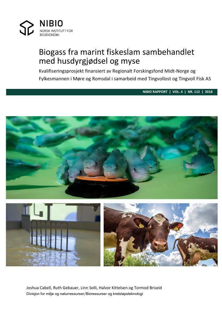 Forsiden av dokumentet Biogass fra marint fiskeslam sambehandlet med husdyrgjødsel og myse : kvalifiseringsprosjekt finansiert av Regionalt Forskingsfond Midt-Norge og Fylkesmannen i Møre og Romsdal i samarbeid med Tingvollost og Tingvoll Fisk AS