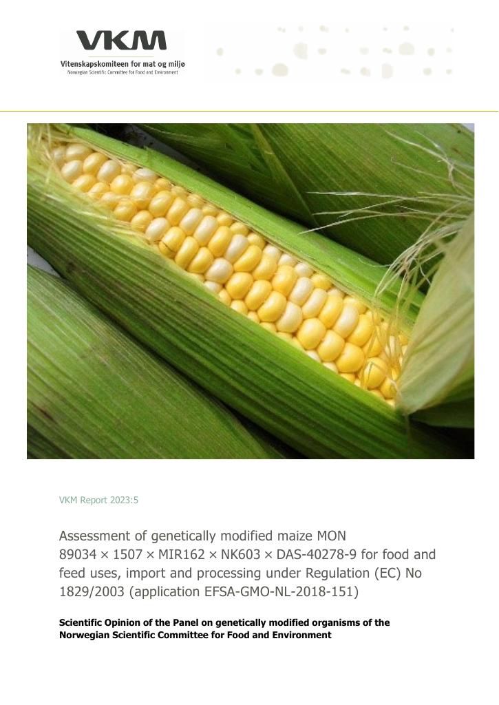 Forsiden av dokumentet Assessment of genetically modified maize MON 89034 × 1507 × MIR162 × NK603 × DAS‐ 40278‐9 for food and feed uses, import and processing under Regulation (EC) No 1829/2003 (application EFSA‐GMO‐NL‐2018‐151)