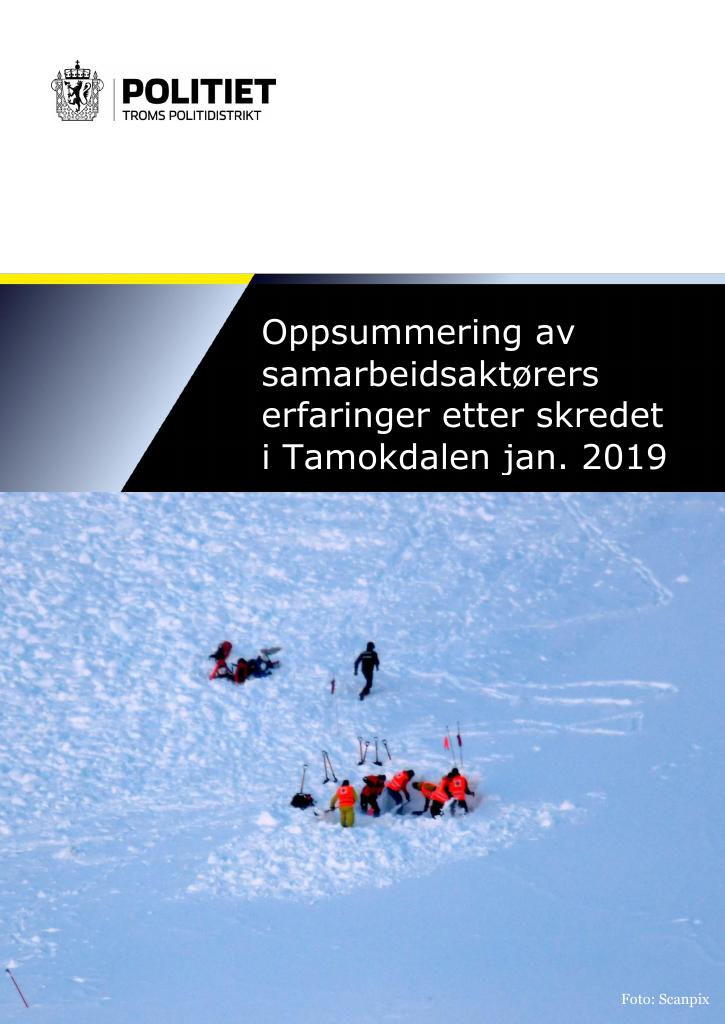 Forsiden av dokumentet Erfaringer etter skredet i Tamokdalen januar 2019