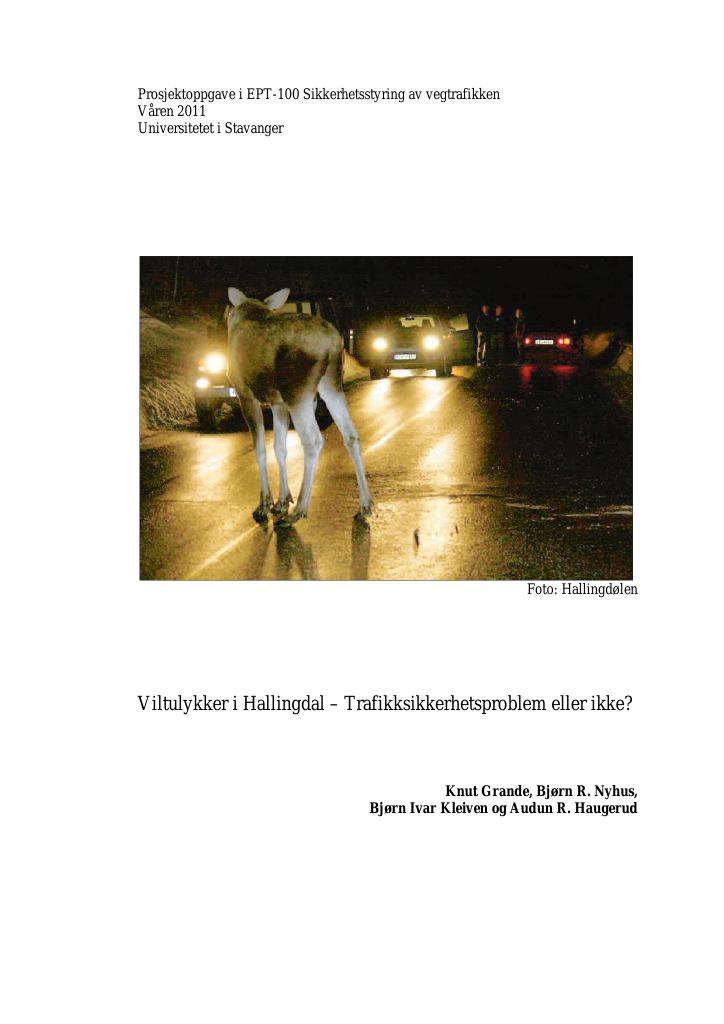 Forsiden av dokumentet Viltulykker i Hallingdal - Trafikksikkerhetsproblem eller ikke?