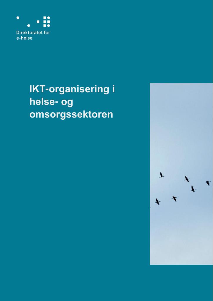 Forsiden av dokumentet IKT-organisering i helse- og omsorgssektoren