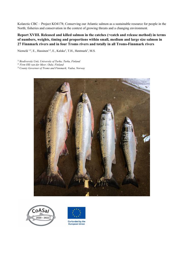 Forsiden av dokumentet Report XVIII. Released and killed salmon in the catches