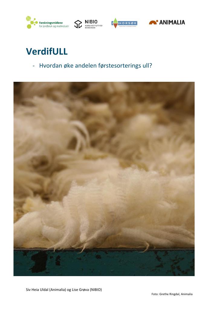 Forsiden av dokumentet VerdifULL : - hvordan øke andelen førstesorterings ull?
