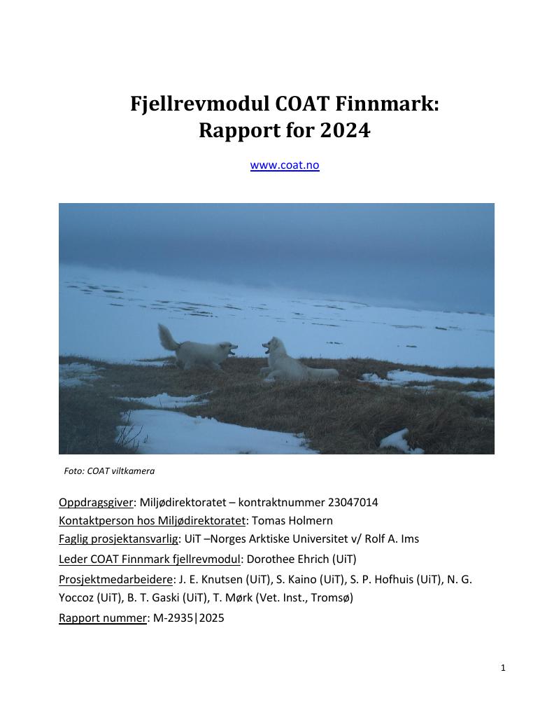 Forsiden av dokumentet Fjellrevmodul COAT Finnmark: Rapport for 2024 : M-2935