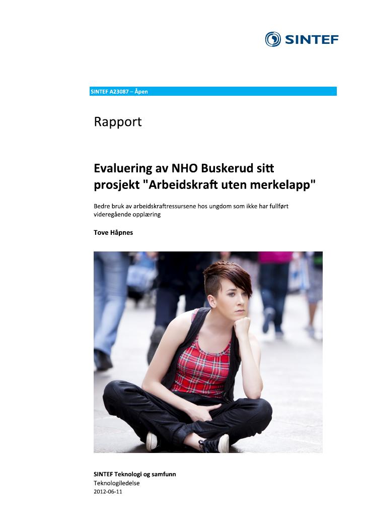 Forsiden av dokumentet Evaluering av NHO Buskerud sitt prosjekt "Arbeidskraft uten merkelapp"