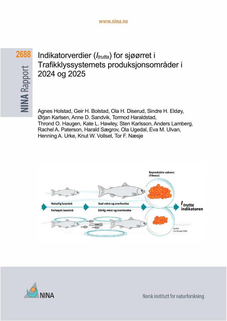 Forsiden av dokumentet Indikatorverdier (Itrutta) for sjøørret i Trafikklyssystemets produksjonsområder i 2024 og 2025