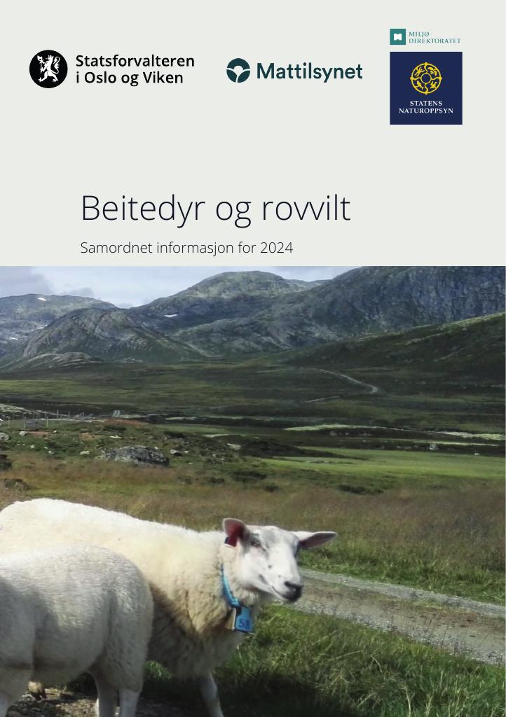 Forsiden av dokumentet Beitedyr og rovvilt - Samordnet informasjon for 2024