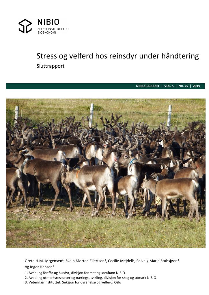 Forsiden av dokumentet Stress og velferd hos reinsdyr under håndtering
