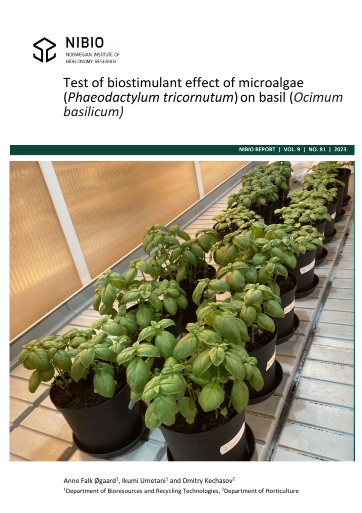 Forsiden av dokumentet Test of biostimulant effect of microalgae (Phaeodactylum tricornutum) on basil (Ocimum basilicum)