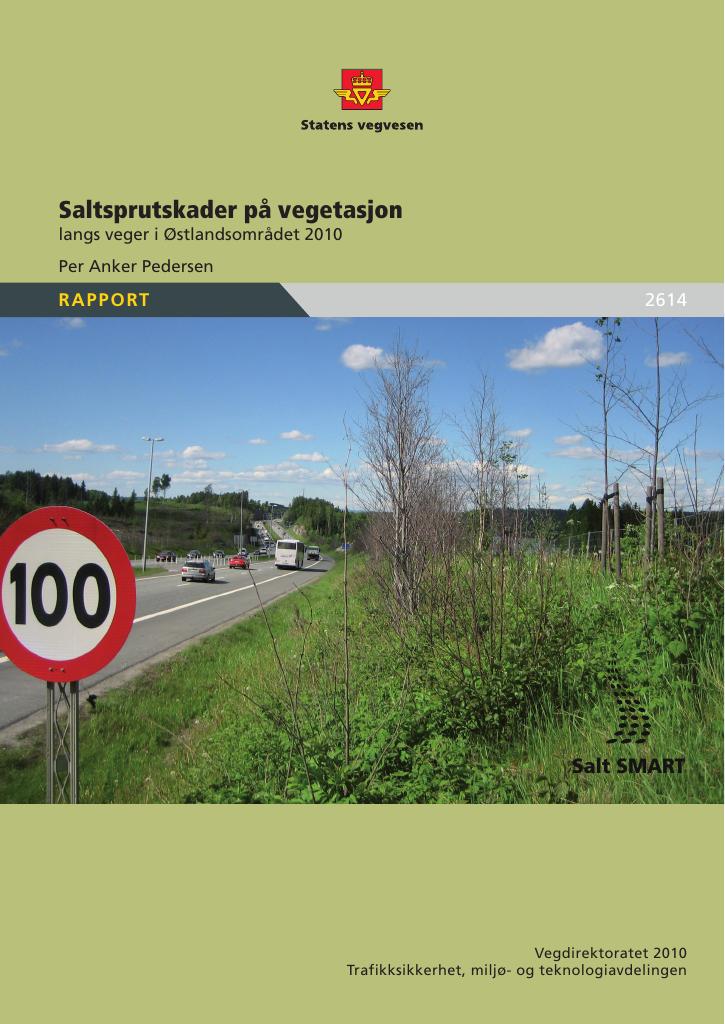 Forsiden av dokumentet Saltsprutskader på vegetasjon langs veger i Østlandsområdet 2010