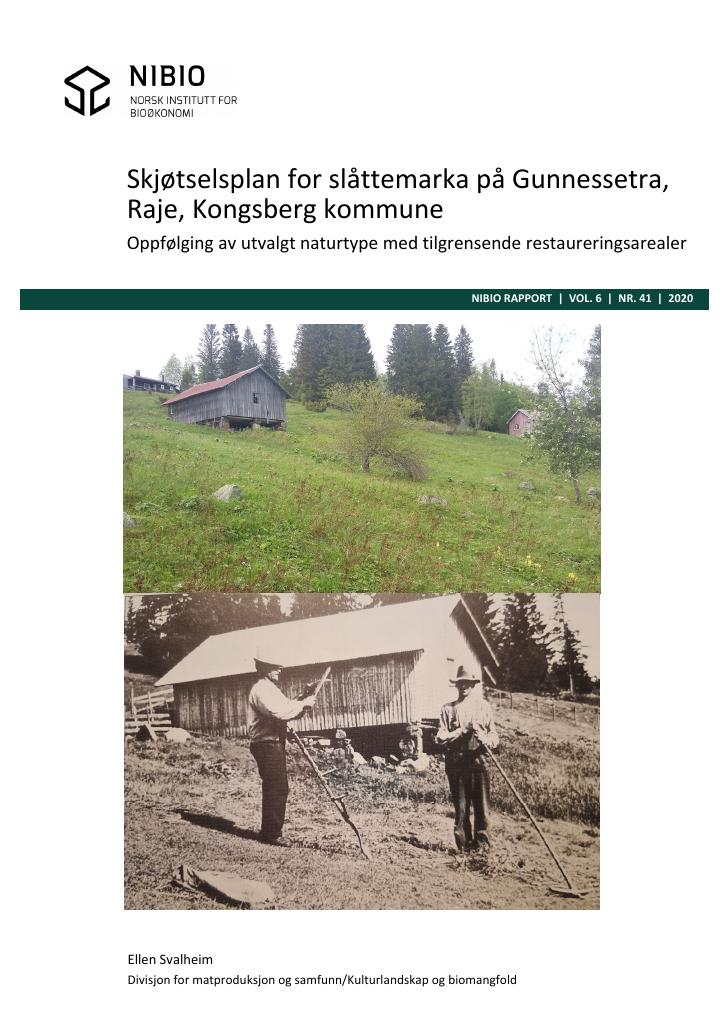 Forsiden av dokumentet Skjøtselsplan for slåttemarka på Gunnesstra, Raje, Kongsberg kommune : oppfølging av utvalgt naturtype med tilgrensede restaureringsarealer