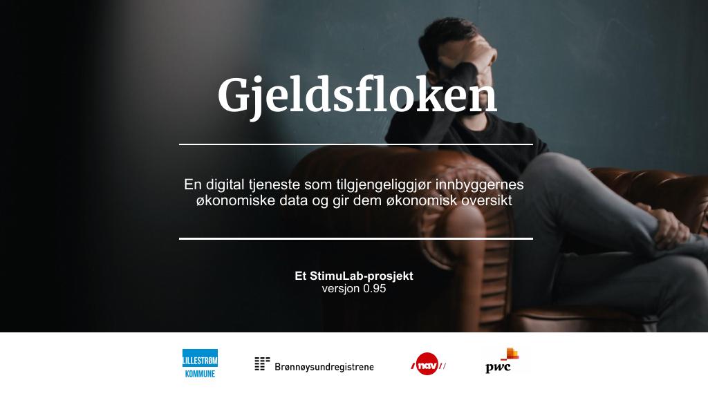 Forsiden av dokumentet Stimulab: Gjeldsfloka