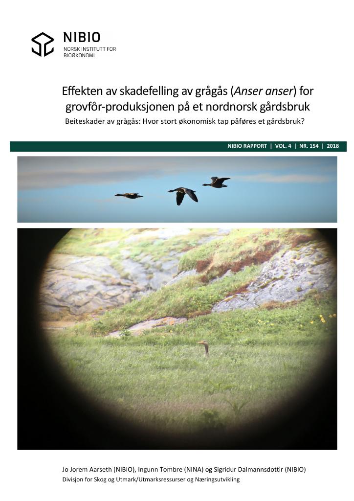Forsiden av dokumentet Effekten av skadefelling av grågås (Anser anser) for grovfôr-produksjonen på et nordnorsk gårdsbruk