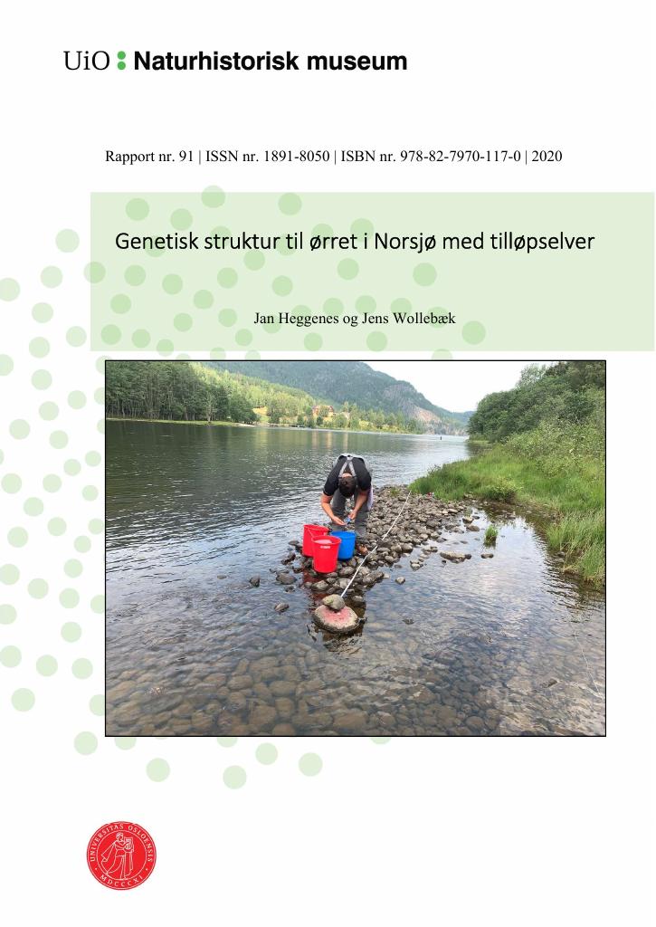 Forsiden av dokumentet Genetisk struktur til ørret i Norsjø med tilløpselver