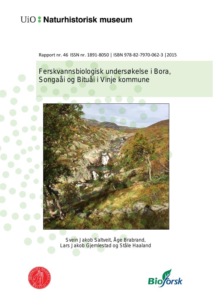 Forsiden av dokumentet Ferskvannsbiologisk undersøkelse i Bora, Songaåi og Bituåi i Vinje kommune