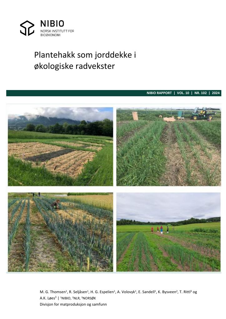 Forsiden av dokumentet Plantehakk som jorddekke i økologiske radvekster
