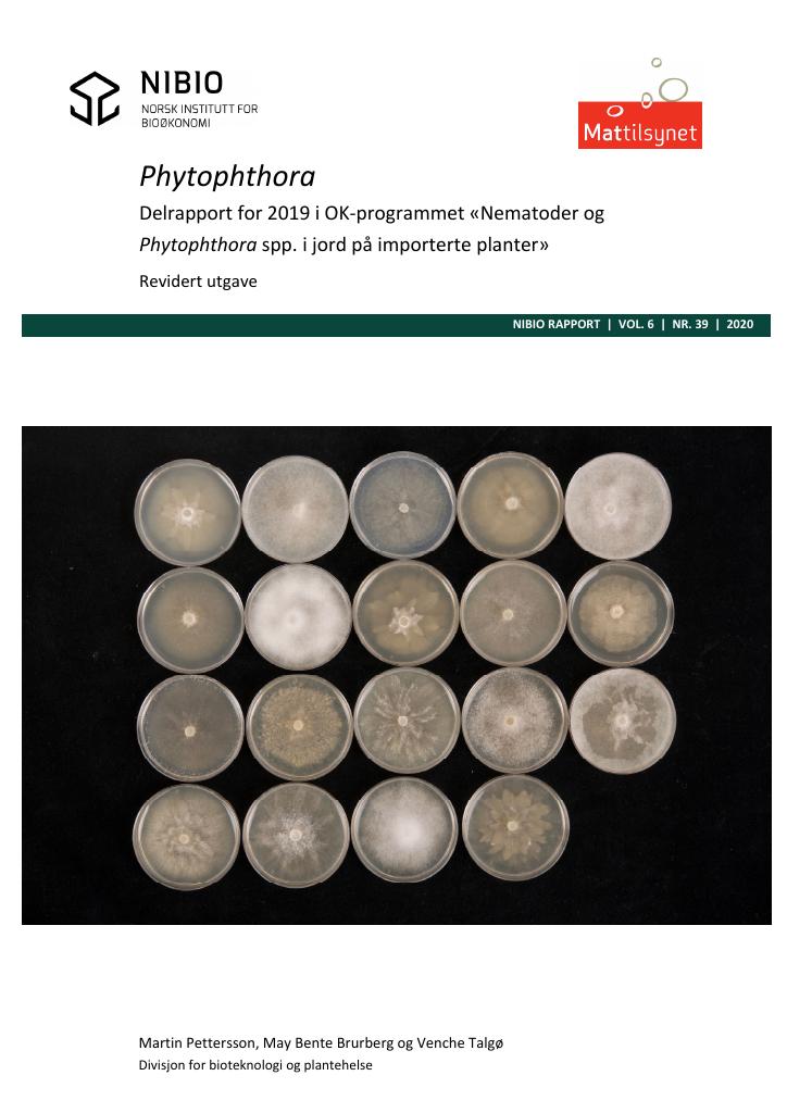 Forsiden av dokumentet Phytophthora : delrapport for 2019 i OK-programmet «Nematoder og Phytophthora spp. i jord på importerte planter»