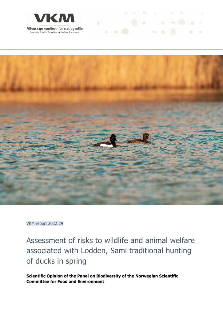 Forsiden av dokumentet Assessment of risks to wildlife and animal welfare associated with Lodden, Sami traditional hunting of ducks in spring : scientific opinion of the panel on biodiversity of the Norwegian scientific committee for food and evironment