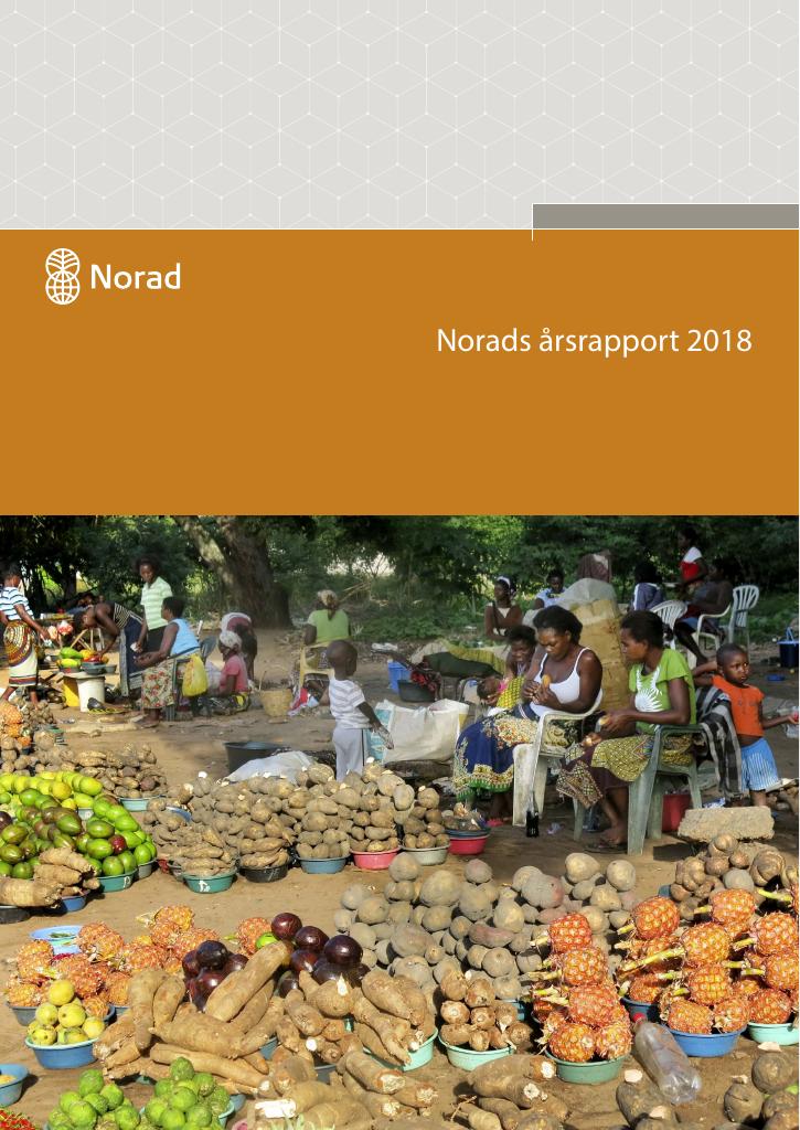 Forsiden av dokumentet Årsrapport Norad 2018 (pdf)