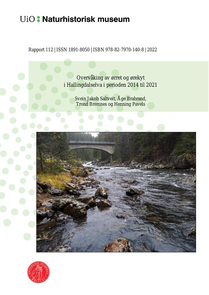 Forsiden av dokumentet Overvåking av ørret og ørekyt i Hallingdalselva fra 2014 til 2021