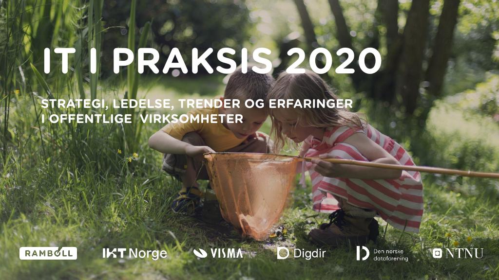 Forsiden av dokumentet IT i praksis 2020