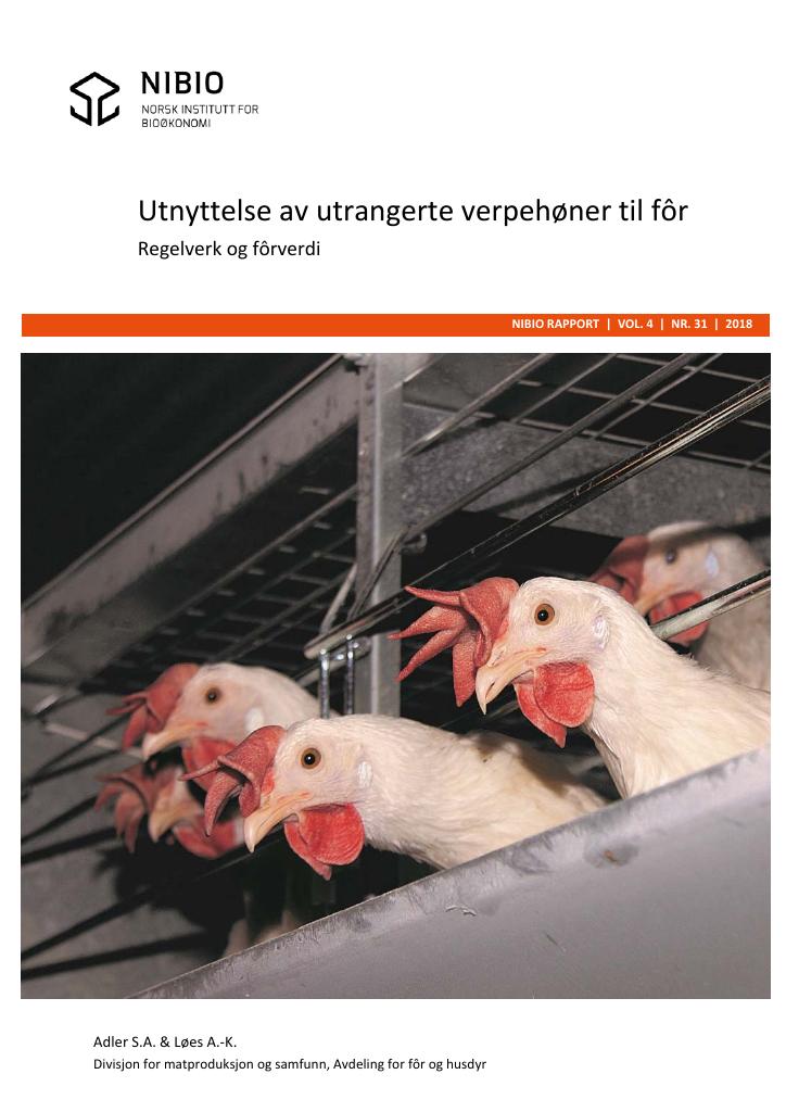 Forsiden av dokumentet Utnyttelse av utrangerte verpehøner til fôr