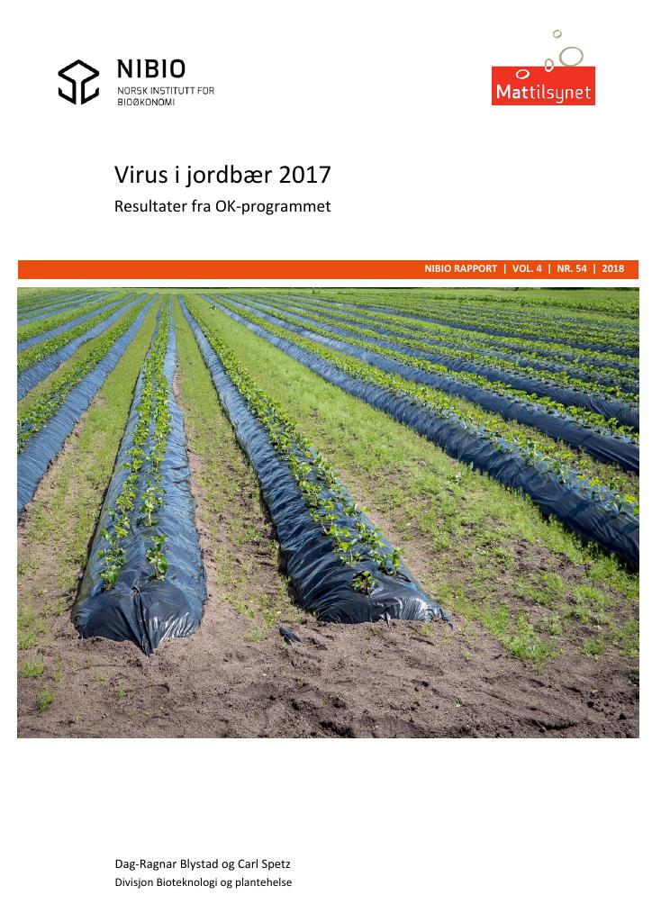 Forsiden av dokumentet Virus i jordbær 2017. Resultater fra OK-programmet.