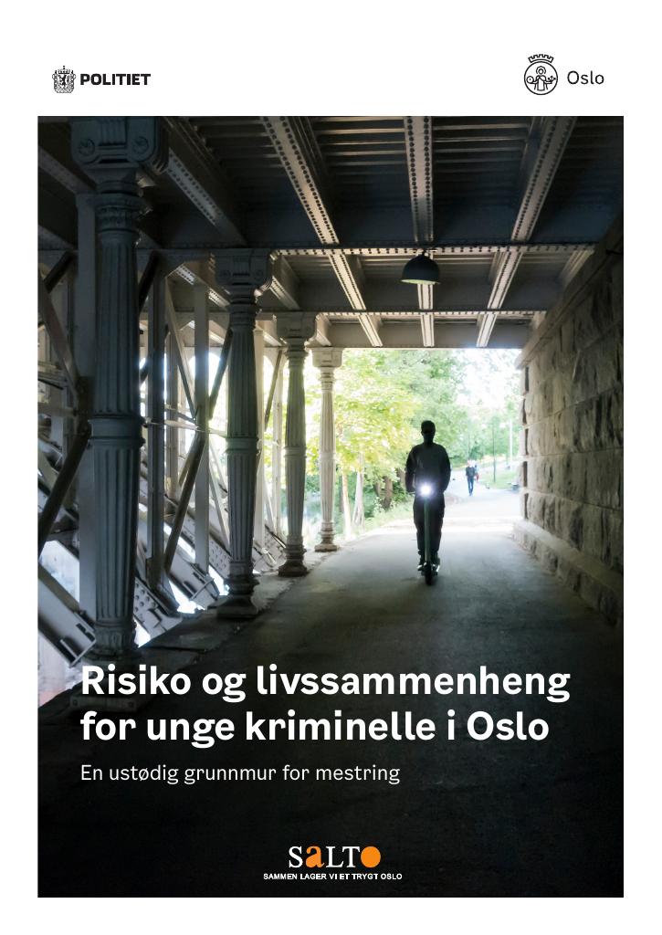 Forsiden av dokumentet Risiko og livssammenheng for unge kriminelle i Oslo